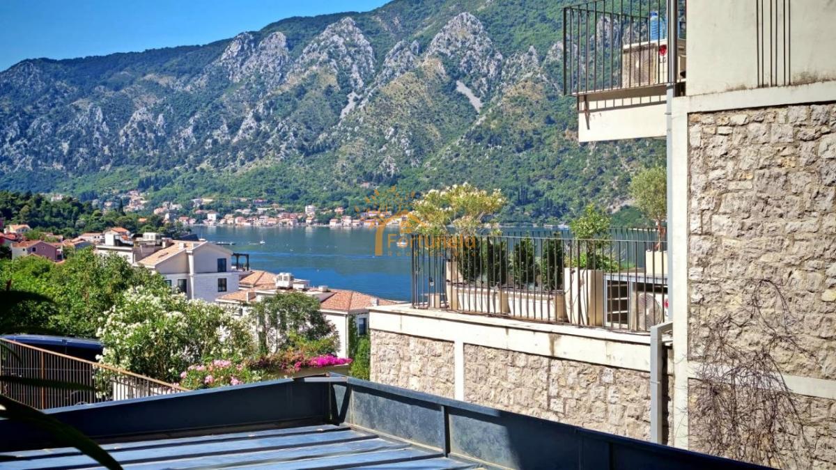 Kotor